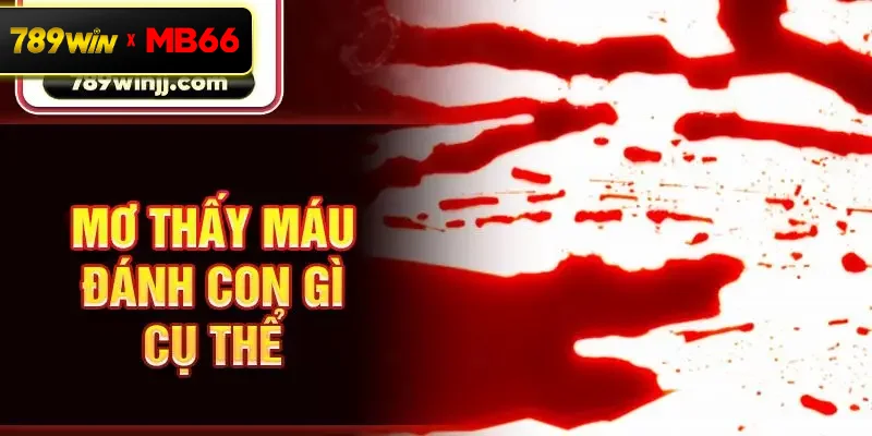 Mơ thấy máu đánh con gì cụ thể