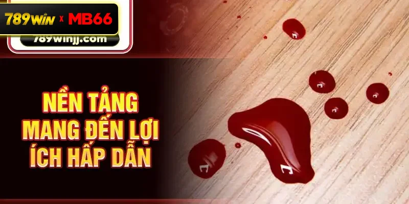 Nền tảng mang đến lợi ích hấp dẫn 