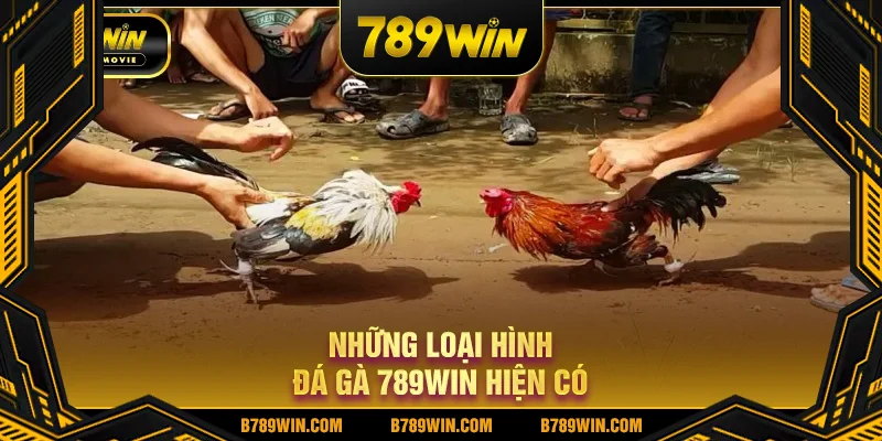 Những loại hình đá gà 789WIN hiện có