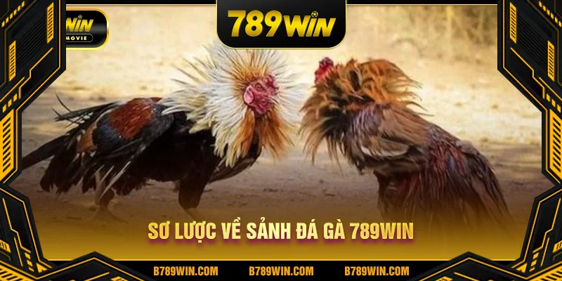 Sơ lược về sảnh đá gà 789WIN