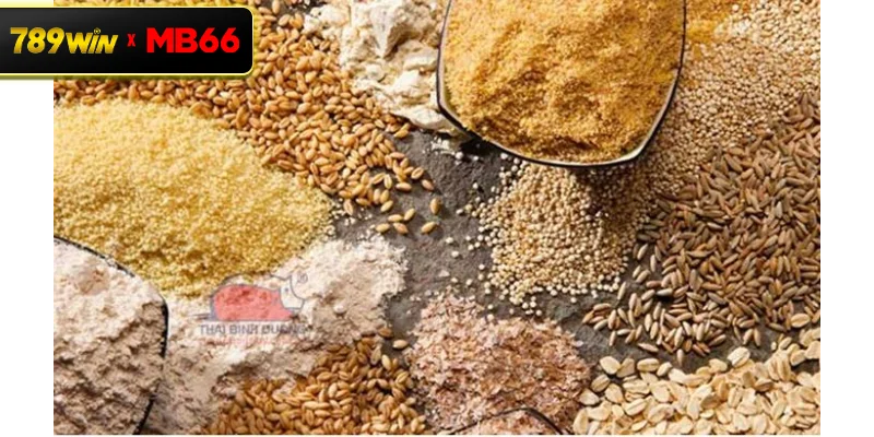 Nhóm thực phẩm giàu đạm cho gà đá – Yếu tố then chốt tạo nên sức mạnh chiến kê